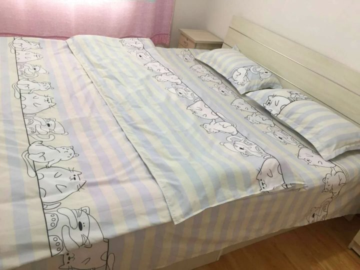 拎包入住公寓(天津2号店)