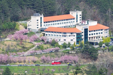 台中武陵农场富野渡假村(Hoya Resort Hotel Wuling)