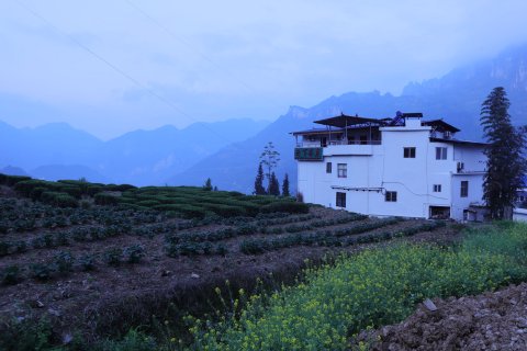 恩施云下茶庄住宿