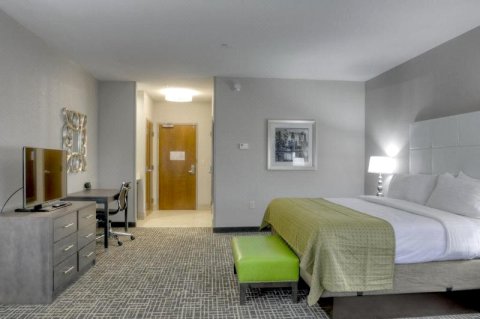 科文顿酒店(Holiday Inn Covington, an IHG Hotel)