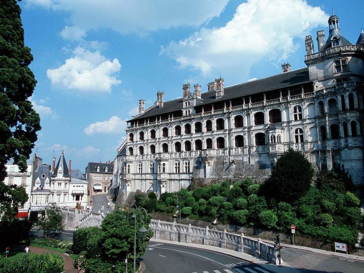 布卢瓦市中心卢瓦尔河谷诺富特酒店(Novotel Blois Centre Val de Loire)