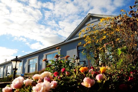 陈巴尔虎旗查干道布青年民宿