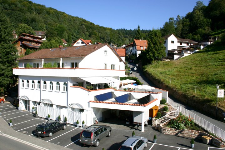 苏姆罗温公寓酒店(Zum Löwen)