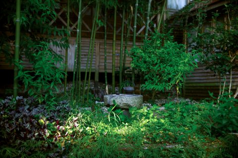 鼓浪屿画廊旅馆.世外桃源(内厝澳码头店)