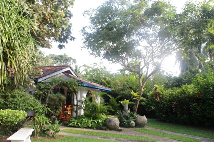 Villa Tropical Forest
