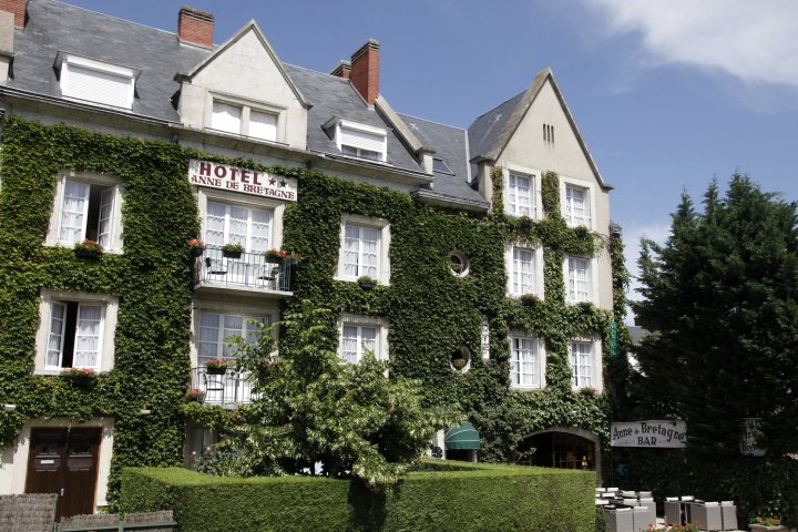 布卢瓦布列塔尼安妮酒店(Hotel Anne de Bretagne Blois)