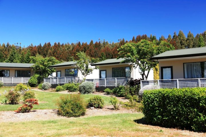 蒂阿诺湖景度假汽车旅馆(Te Anau Lakeview Kiwi Holiday Park & Motels)