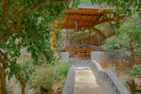 鸡足山古树林休闲客栈