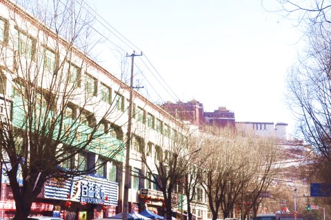 帝人酒店(拉萨布达拉宫店)