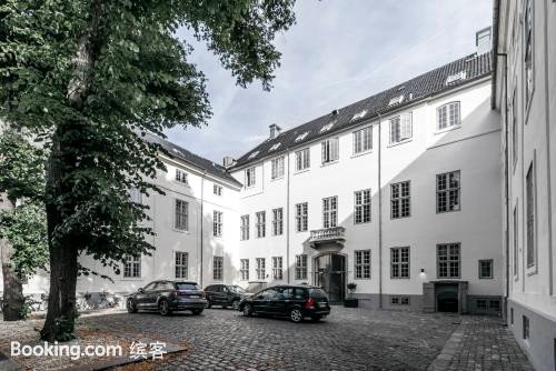 哥本哈根市中心超豪华公寓(Grand Apartment in The Heart of Copenhagen)