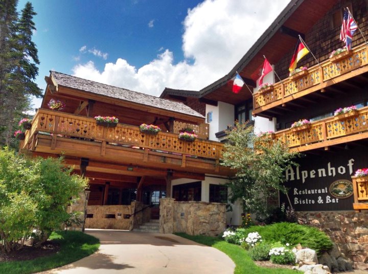 阿尔彭霍夫酒店(The Alpenhof)