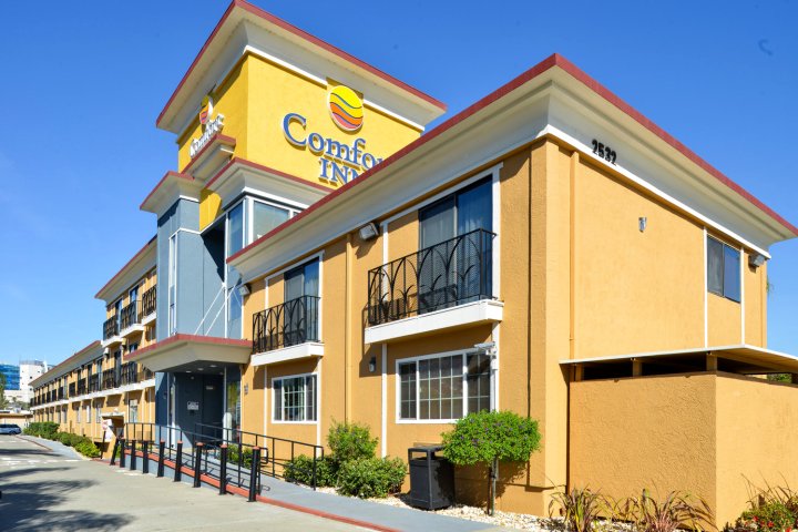 卡斯特罗谷康福特茵酒店(Comfort Inn Castro Valley)