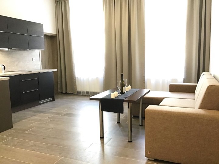 布尔诺丽迪卡 39 号欧元公寓酒店(Euro Apartments LIDICKÁ 39 Brno)