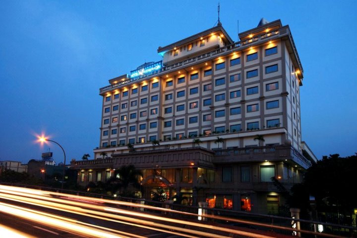 玛哈拉贾酒店(Hotel Maharadja)