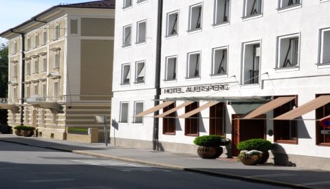 奥尔斯珀格别墅酒店(Boutique Hotel Auersperg)