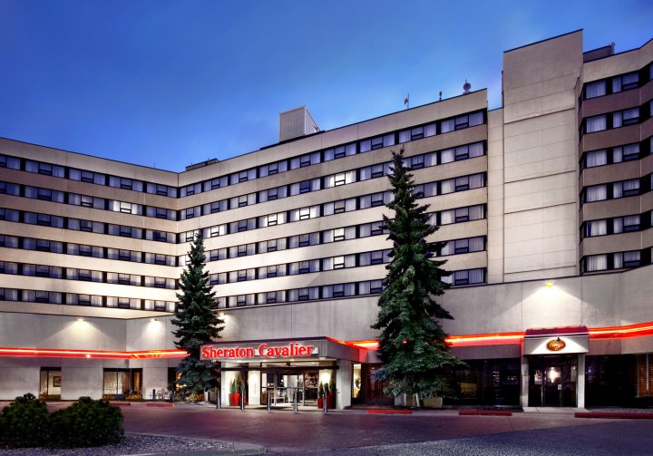 喜来登骑士卡尔加里酒店(Sheraton Cavalier Calgary Hotel)