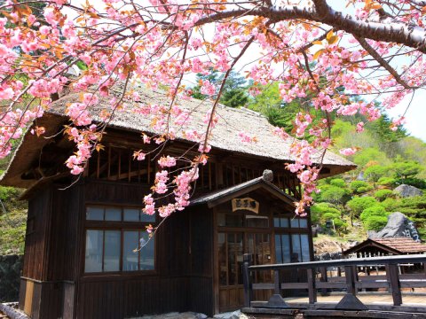 玉子汤旅馆(Takayu Onsen Ryokan Tamagoyu)