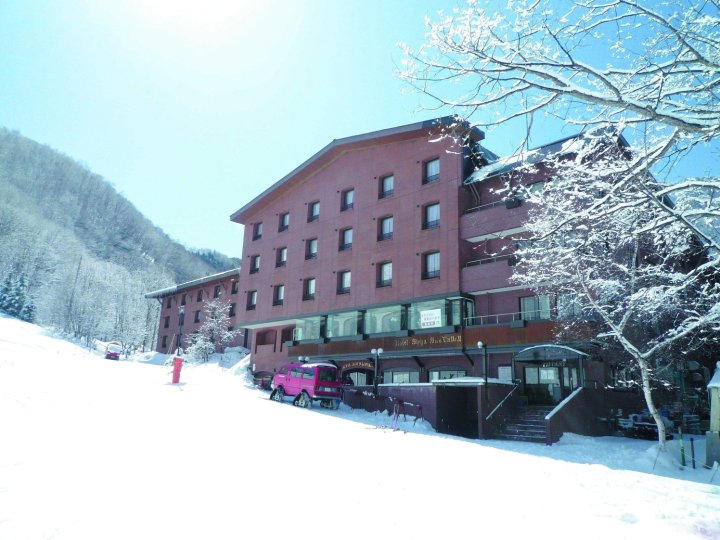 滋贺县太阳谷志贺高原酒店(Shiga Kogen Hotel Shiga Sunvalley)