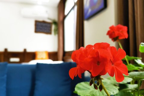 张家界乡恋客栈(国家森林公园武陵源标志门店)