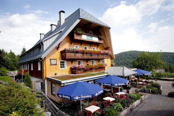 阿德勒白陶酒店(Hotel Adler Bärental)