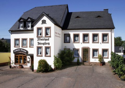 快乐酒桶酒庄酒店(Weingut Gästezimmer Fröhliches Weinfass)