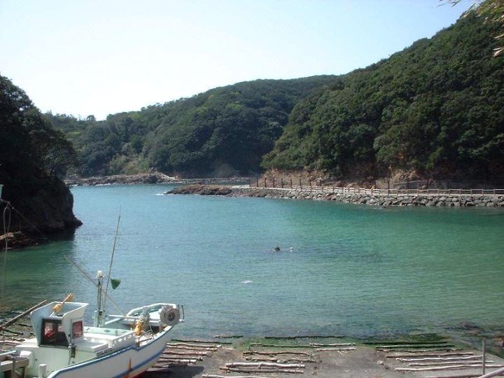 伊豆下田温泉・须崎海岸 温泉民宿「龟屋」(Minshuku Kameya)