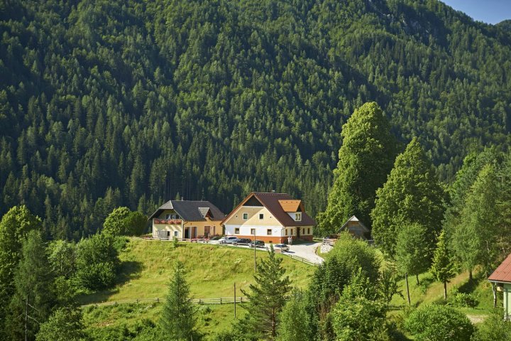 格拉迪什尼克旅游农场(Tourist Farm Gradišnik)