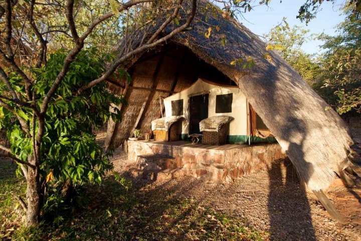木桑戈野生动物园营地全包式酒店(Musango Safari Camp - All-Inclusive)