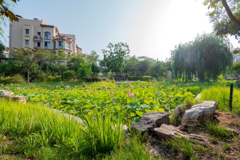 秦皇岛碧螺湾亲海度假休闲别墅(6号店)