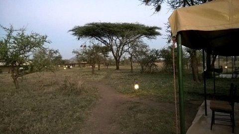 塞伦盖提野营酒店(Serengeti Wild Camps)