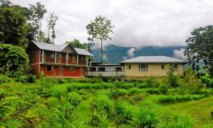 部落树家庭寄宿(Tribal Trees Homestay)