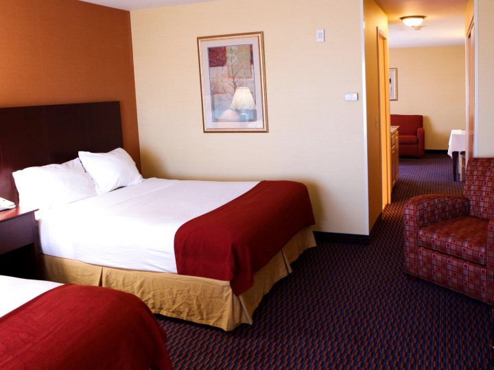 里奇兰智选假日套房酒店 - IHG 旗下饭店(Holiday Inn Express Hotel & Suites Richland)