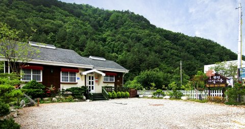 江陵Jajaknamu度假屋(Jajaknamu Pension Gangneung)