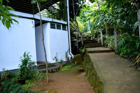 Solitude Munnar