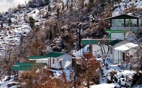 奥利生态自然度假村(Auli Eco Nature Resort)