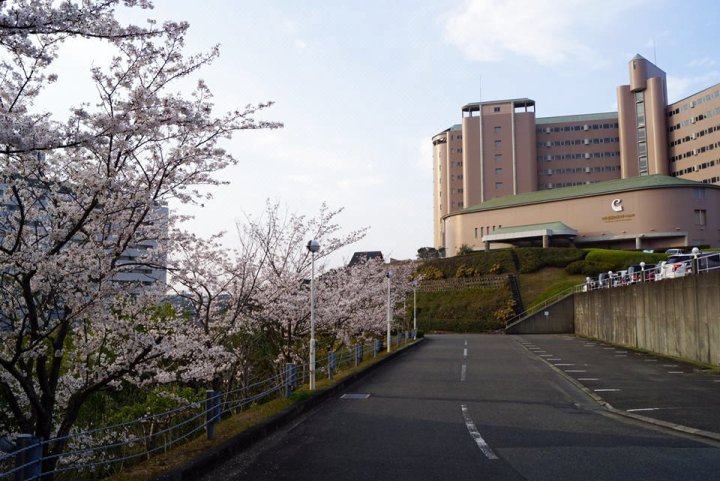 月岛(Cool Condo with a Pool at Shirahama!)