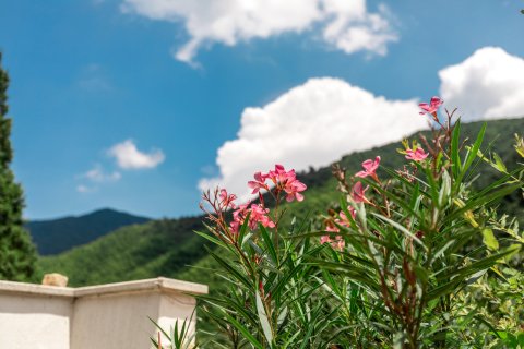 深溪慢谷屋·星空泳池·环山秘境民宿浙北大峡谷店