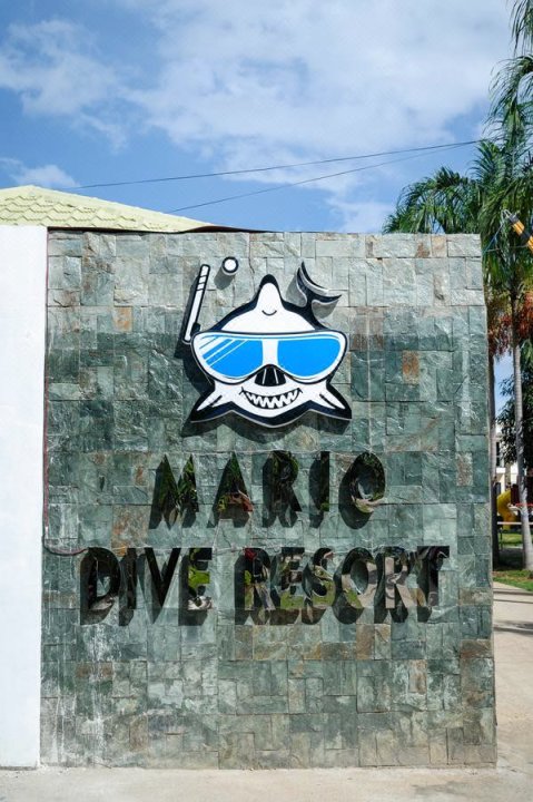 马里奥潜水度假村(Mario Dive Resort)