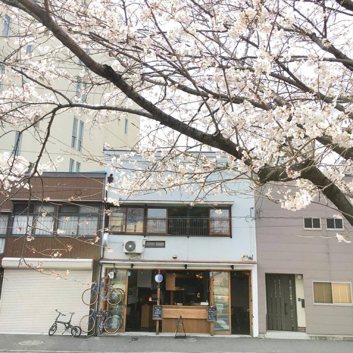 Tsuruya Guesthouse - Hostel