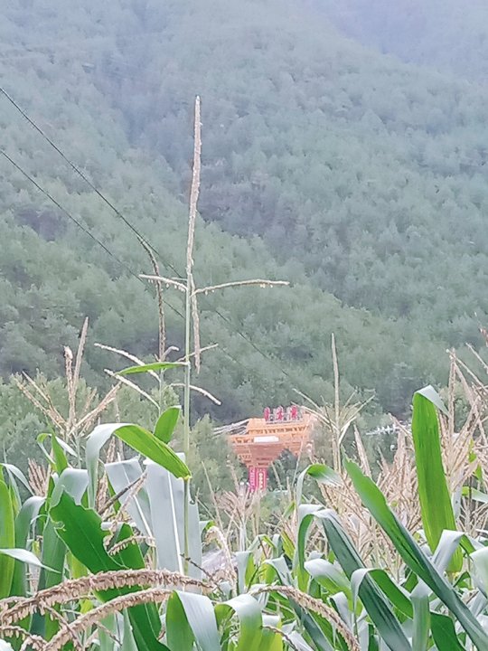 凉山木之家特色民宿