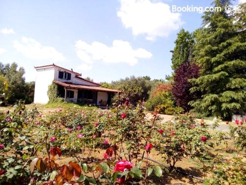 Beautiful Cottage with a Rose Garden