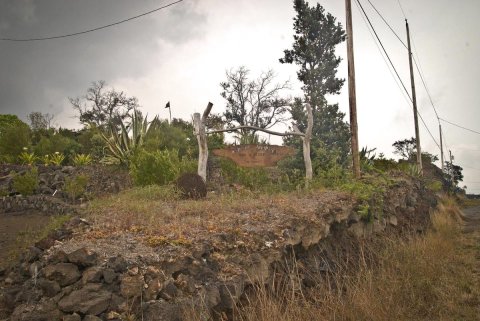 卡胡库阿胡普阿农场露台度假屋("The Terraces" a Kahuku Ahupua'a Farm and Retreat)