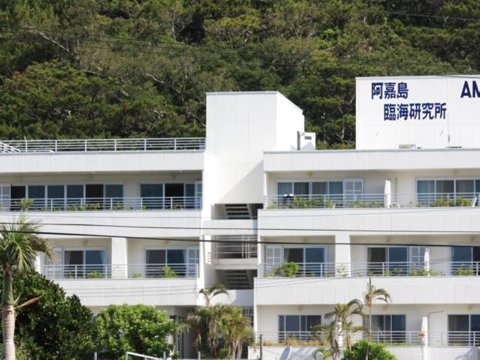 哈纳穆罗国际岛民酒店(Hanamuro Interislander's Hotel)