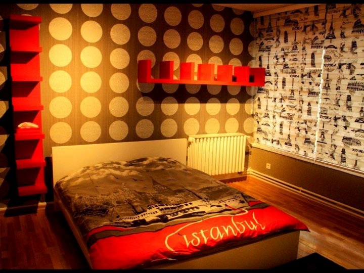 我的房间开放式公寓酒店(Konukevim Bayindir Studio)