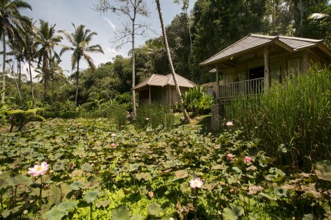 彭杜克塞巴图别墅酒店(Pondok Sebatu Villa)