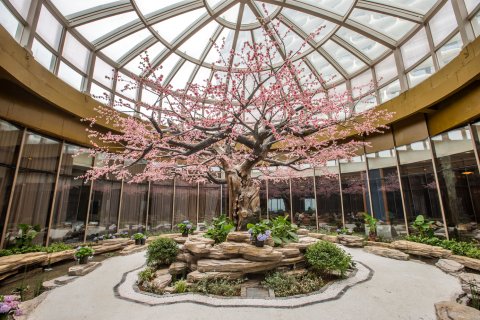 太湖龙之梦钻石酒店