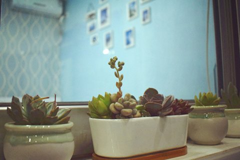 长岛五天四夜渔家乐