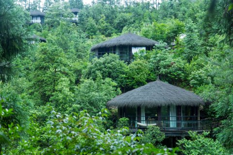 莫干山裸心谷度假村