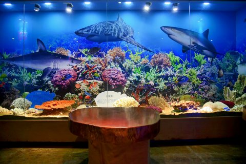 开化醉源酒店(开化县客运中心根宫佛国文化旅游区店)