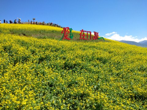 海北马福宝公寓